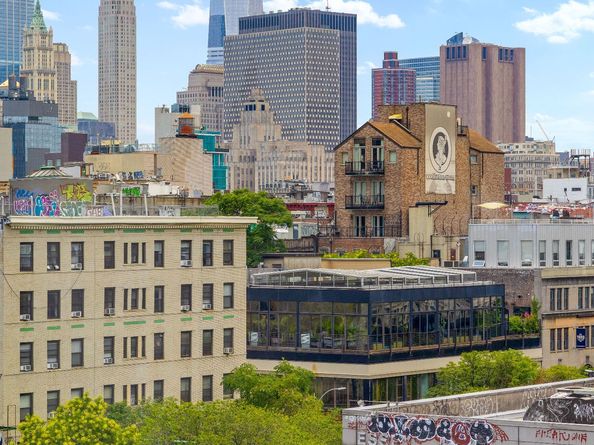105 Norfolk Street 7A, New York NY 10002