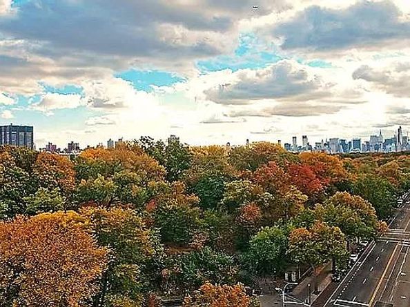 467 Central Park W 14B, New York NY 10025