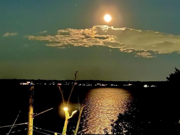 904 Dean Avenue, Bronx NY 10465