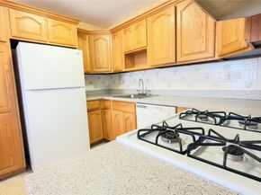 98 Whistler Court 98, Middle Island NY 11953