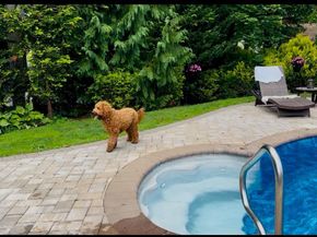 4 Galaxie Lane, Selden NY 11784