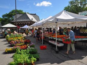 111 E Hartsdale Avenue 7E, Hartsdale NY 10530