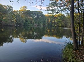 76 Vaughn Avenue, New Rochelle NY 10801