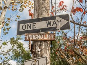 24 Magnolia Place 24, Bronx NY 10465