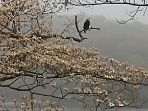 93 Cross Pond Road, Pound Ridge NY 10576