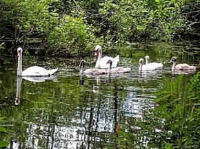 93 Cross Pond Road, Pound Ridge NY 10576