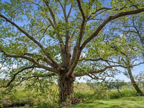 93 Cross Pond Road, Pound Ridge NY 10576