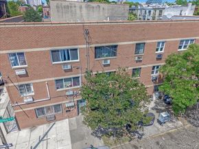 459 Belmont Avenue, Brooklyn NY 11207