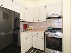6 Birchwood Court 3A, Mineola NY 11501