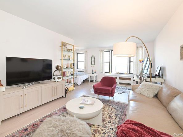 6 Birchwood Court 3A, Mineola NY 11501