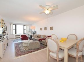 6 Birchwood Court 3A, Mineola NY 11501