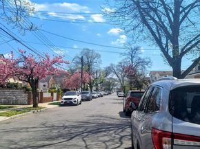 132-18 156th Street, Jamaica NY 11434