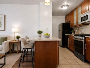 185 Hall Street 1717, Brooklyn NY 11205