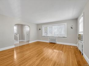 1353 Kiefer Avenue, Elmont NY 11003
