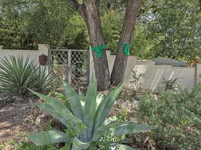 3800 Petes PATH, Austin TX 78731