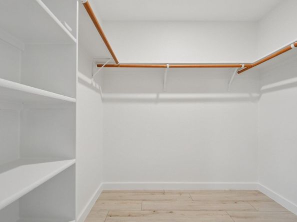 17921 Basketflower BND, Elgin TX 78621