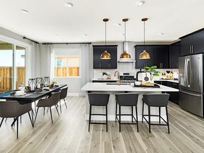 17109 Astral LN, Manor TX 78653