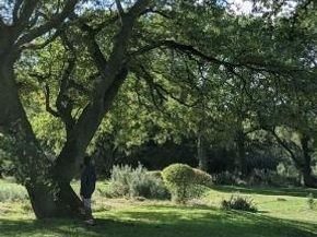401 Texas Sky DR, Georgetown TX 78628