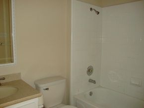 1007 Black Locust DR, Pflugerville TX 78660