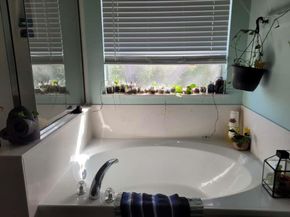 11901 Buzz Schneider LN, Austin TX 78748