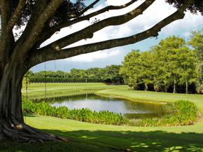 4702 Carlton Golf Drive, Lake Worth FL 33449