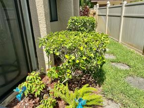4501 Fountains Dr Drive 106, Lake Worth FL 33467