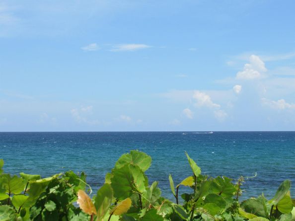 409 NW 12th Avenue, Boynton Beach FL 33435