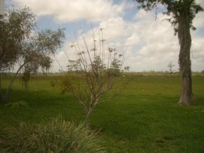 24 Dunbar Road, Palm Beach Gardens FL 33418