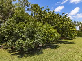 8785 Thousand Pines Circle, West Palm Beach FL 33411
