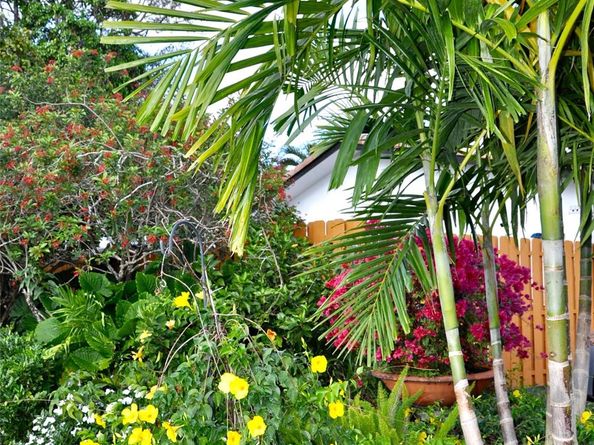 3171 NW 69 Court, Fort Lauderdale FL 33309