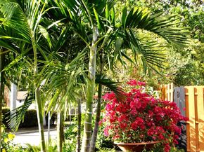 3171 NW 69 Court, Fort Lauderdale FL 33309