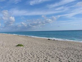 12423 Banyan Road, North Palm Beach FL 33408