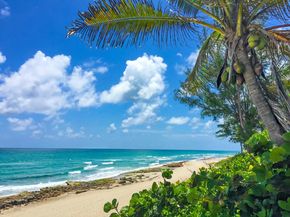 12423 Banyan Road, North Palm Beach FL 33408