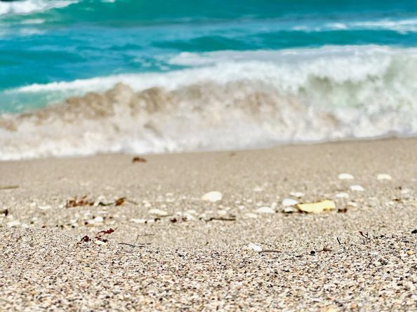 5400 N Ocean Drive 7b, Singer Island FL 33404