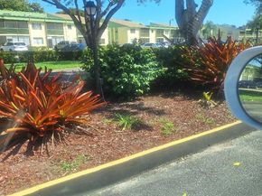 4269 NW 89th Avenue 203, Coral Springs FL 33065