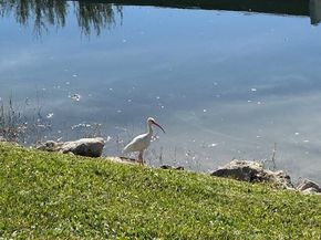 131 Lake Gloria Drive, West Palm Beach FL 33411