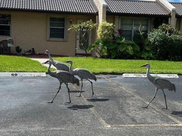 131 Lake Gloria Drive, West Palm Beach FL 33411