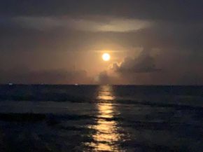 2324 23rd Court 55d, Jupiter FL 33477