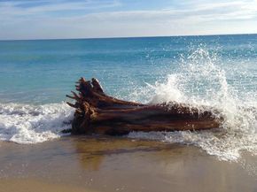 2324 23rd Court 55d, Jupiter FL 33477