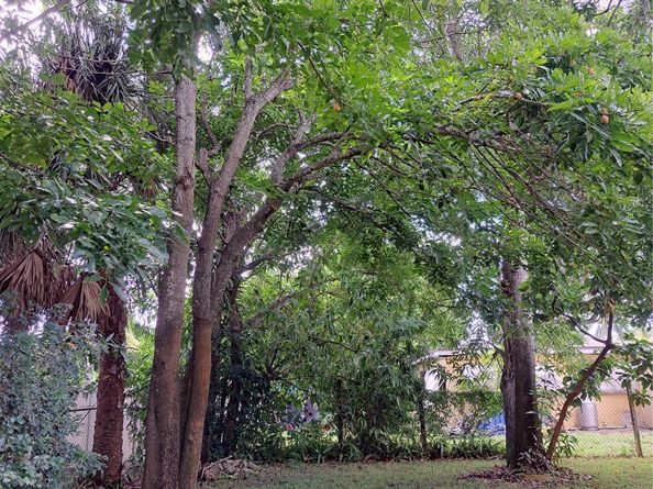 Undisclosed Address #FX-10526769, Fort Lauderdale FL 33312