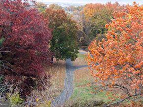 625 Slaters Lane 402, Alexandria VA 22314