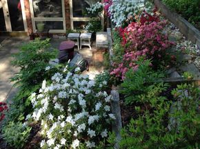 6705 Goldsboro Road, Bethesda MD 20817