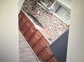 3660 N 21st Street, Philadelphia PA 19140