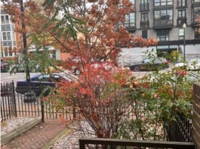 1206 11TH Street NW, Washington DC 20001