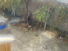 716 E Clearfield Street, Philadelphia PA 19134