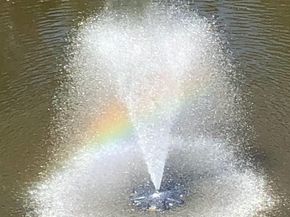 556 Carson Terrace, Huntingdon Valley PA 19006