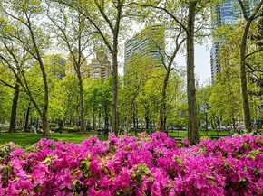 2101 Chestnut Street 809, Philadelphia PA 19103