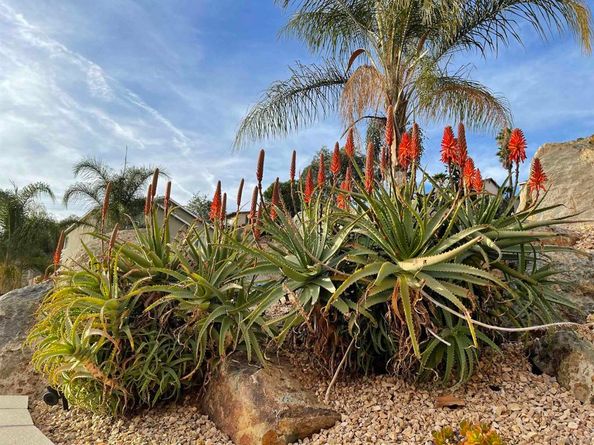 1637 Paraiso Avenue, Spring Valley CA 91977