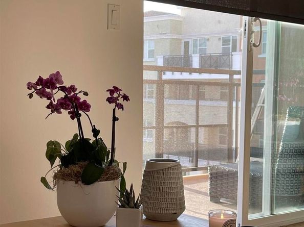 3650 5Th Ave 404, San Diego CA 92103