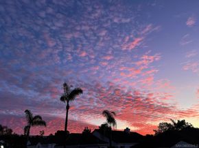 3255 Rancho Companero, Carlsbad CA 92009
